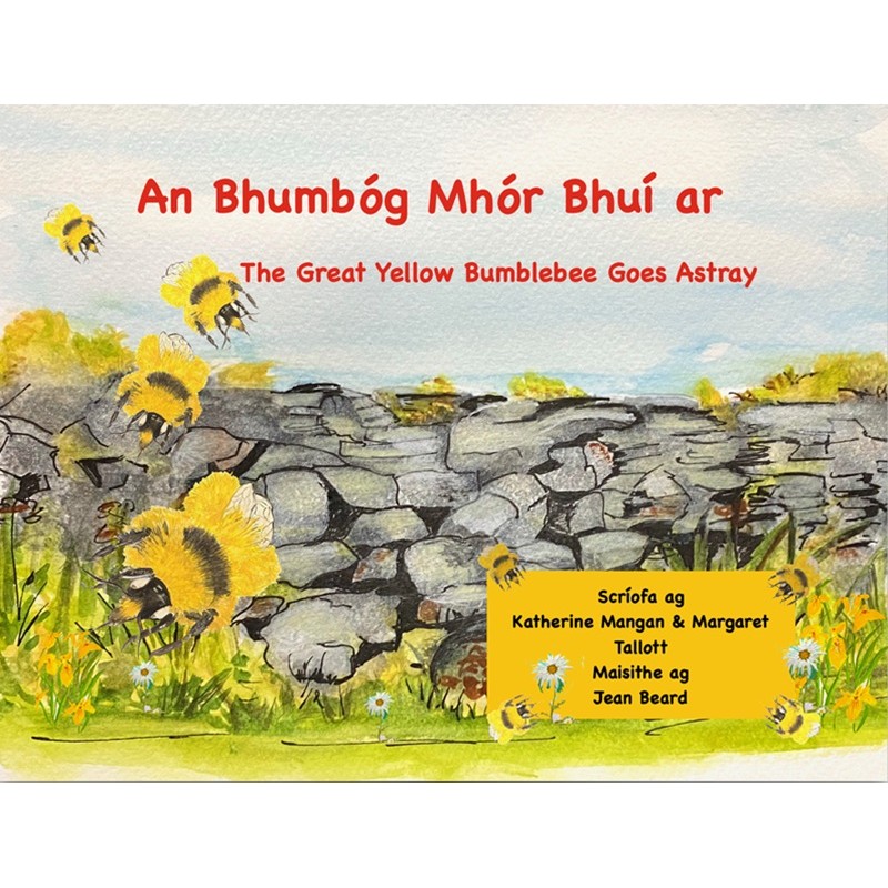 An Bhumbóg Mhór Bhuí ar Strae - The Great Yellow Bumblebee Goes Astray