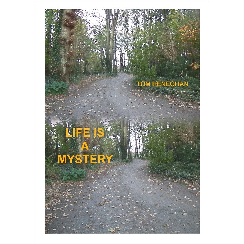 Life is a Mystery