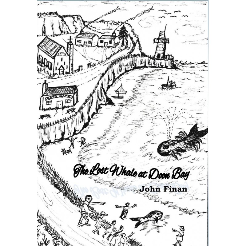 The Lost Whale at Doon Bay