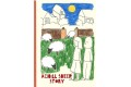 Achill Sheep Story