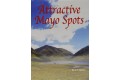 Attractive Mayo Spots