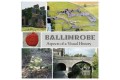 Ballinrobe - Aspects of a Visual History