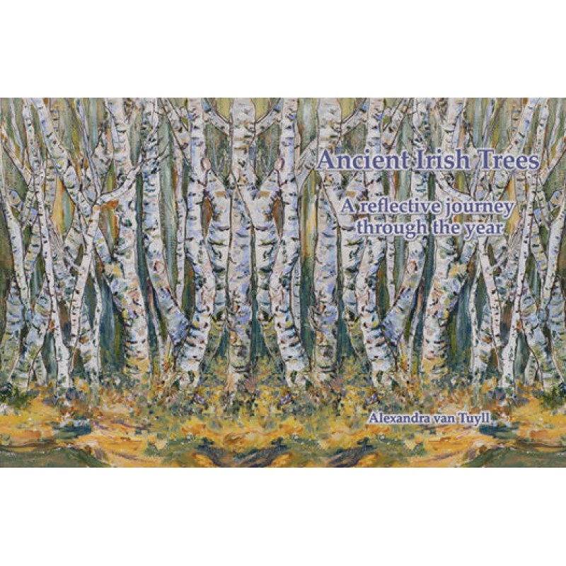  Ancient Irish Trees: A Reflective Journey Through the Year