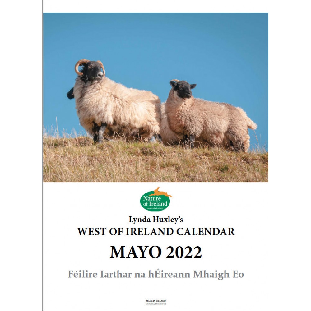 West Of Ireland Calendar 2022 - €8.99 - Mayobooks.ie - The Castle Bookshop